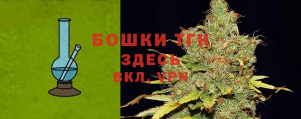прущая мука Корсаков