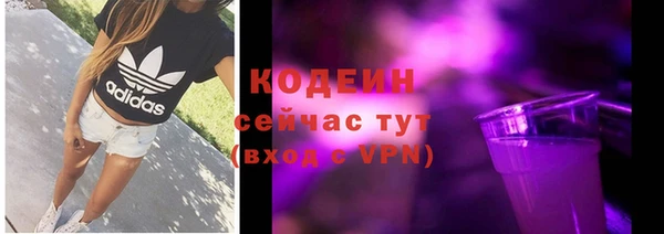 прущая мука Корсаков
