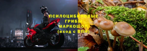 прущая мука Красноперекопск